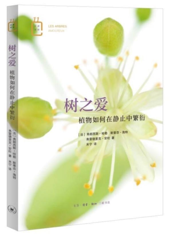 树之爱：植物如何在静止中繁衍